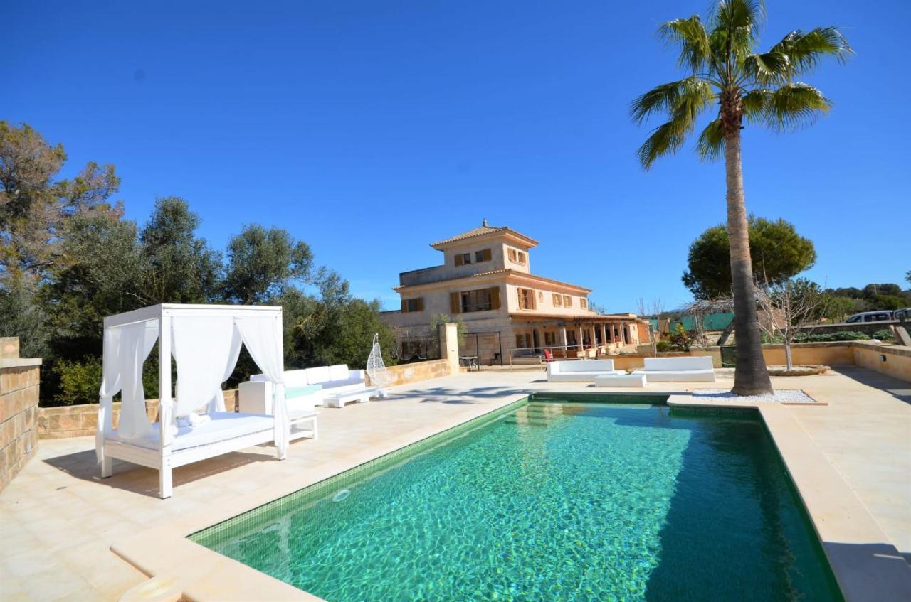 Villa Dinastia Resort Lujo 柳奇马约尔 外观 照片