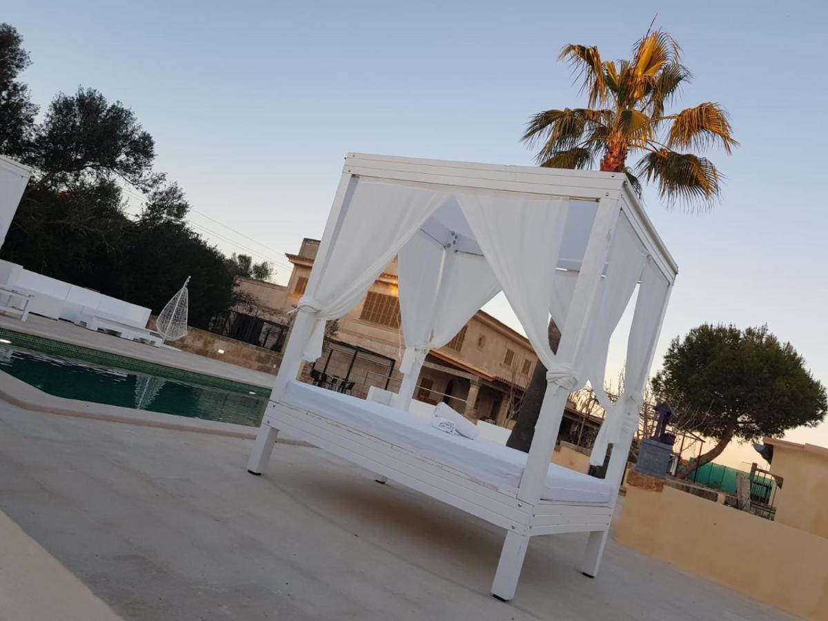 Villa Dinastia Resort Lujo 柳奇马约尔 外观 照片