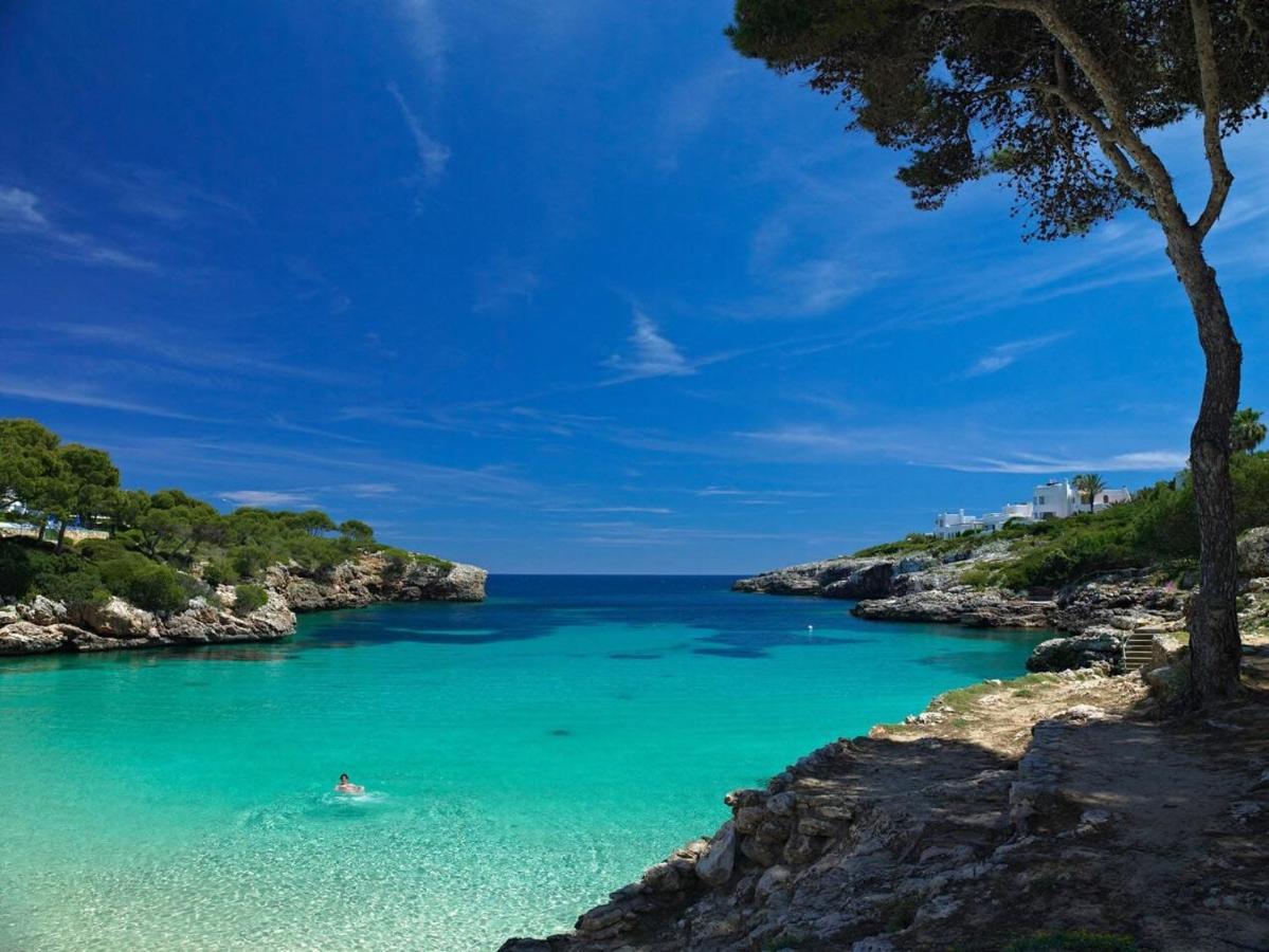 Villa Dinastia Resort Lujo 柳奇马约尔 外观 照片