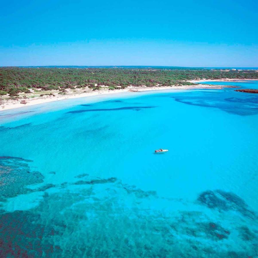 Villa Dinastia Resort Lujo 柳奇马约尔 外观 照片