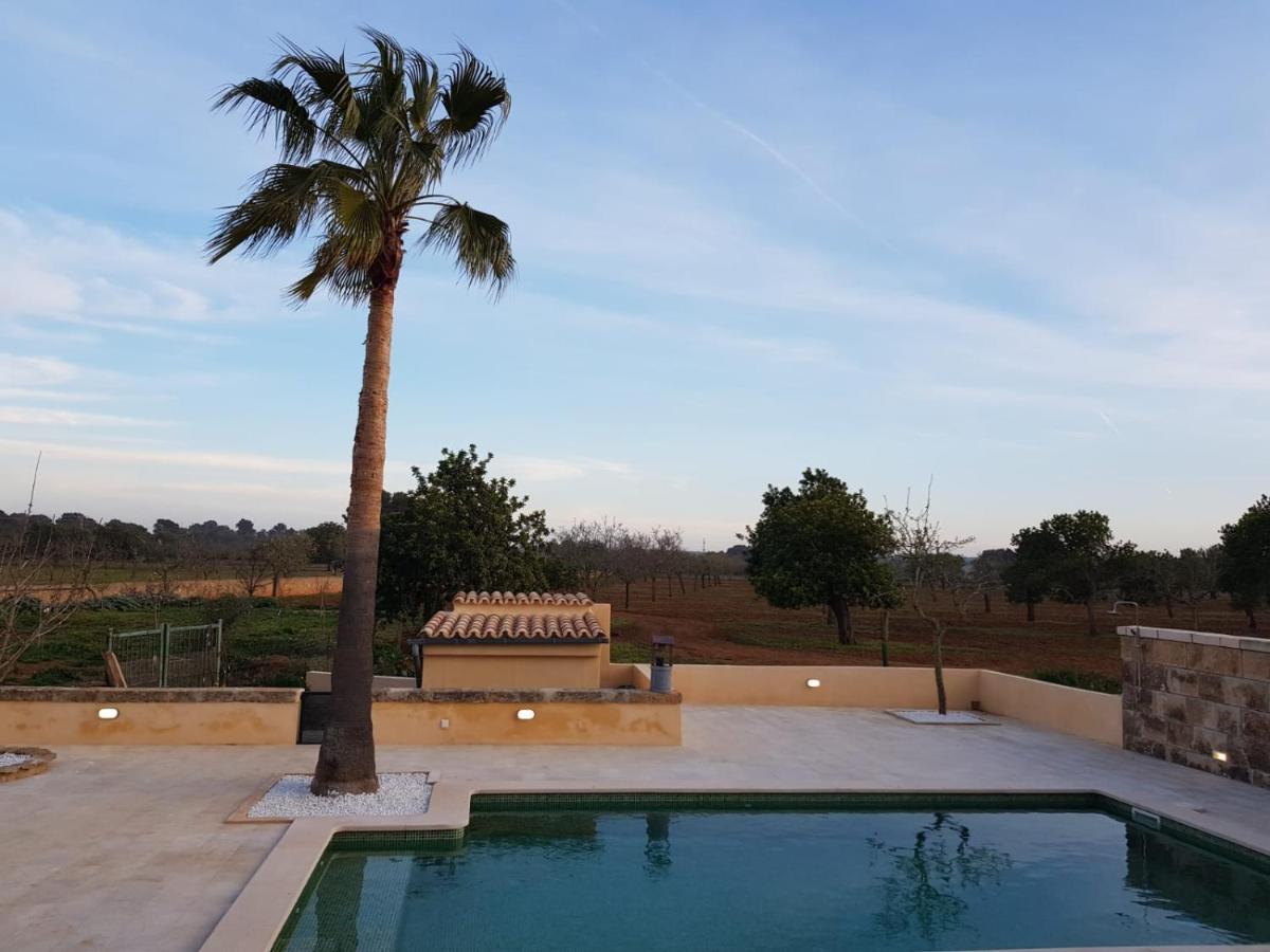 Villa Dinastia Resort Lujo 柳奇马约尔 外观 照片